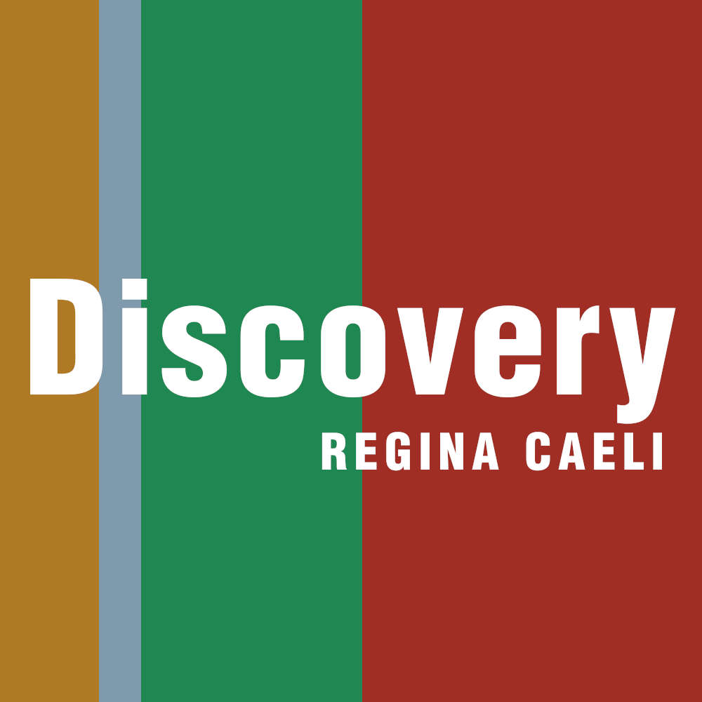 Discovery